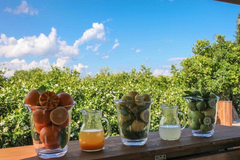 Agriturismo Galea Riposto Εξωτερικό φωτογραφία