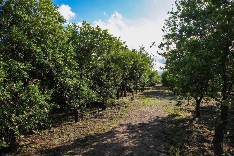 Agriturismo Galea Riposto Εξωτερικό φωτογραφία