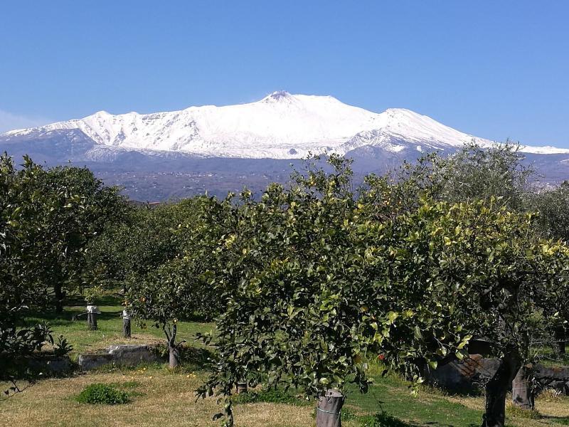 Agriturismo Galea Riposto Εξωτερικό φωτογραφία